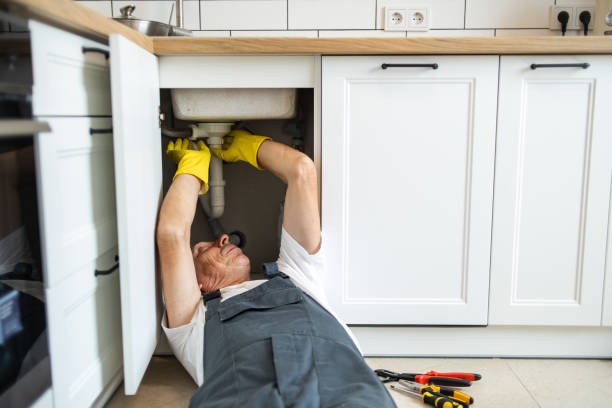 Best Affordable Plumbing Services  in Hwatha, IA